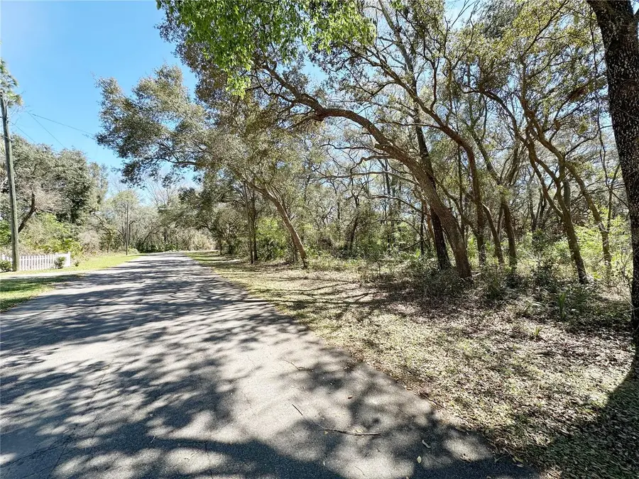 TBD NW 110th Circle, Lot 3, Chiefland, FL 32626 - #3
