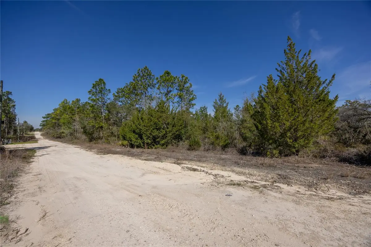 000 NE 64th Place, Williston, FL 32696 - #1