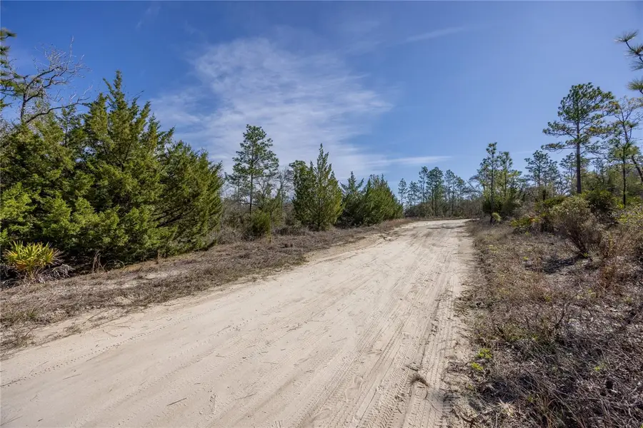 000 NE 64th Place, Williston, FL 32696 - #3