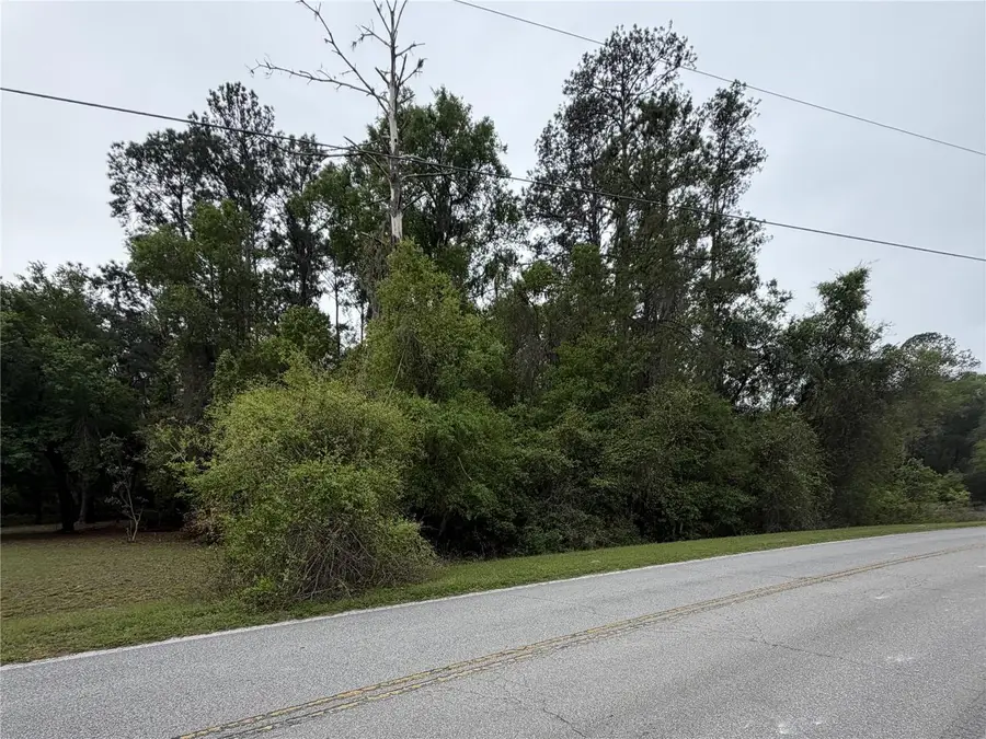 24615 SE 101st Avenue, Hawthorne, FL 32640 - #2