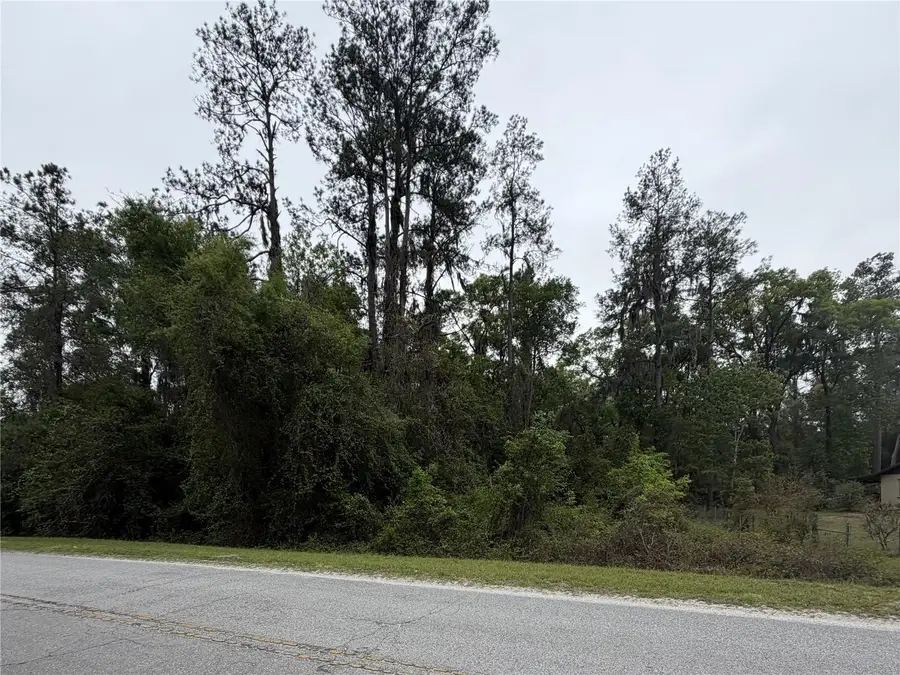 24615 SE 101st Avenue, Hawthorne, FL 32640 - #3