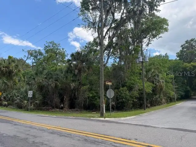 Cr 234, Micanopy, FL 32667 - #1