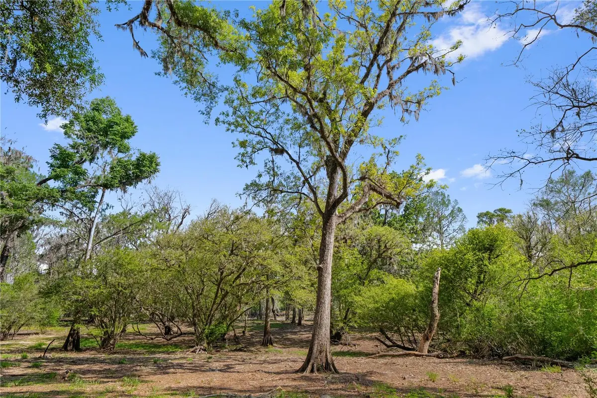 Address Withheld By Seller, Cross City, FL 32628 - #1