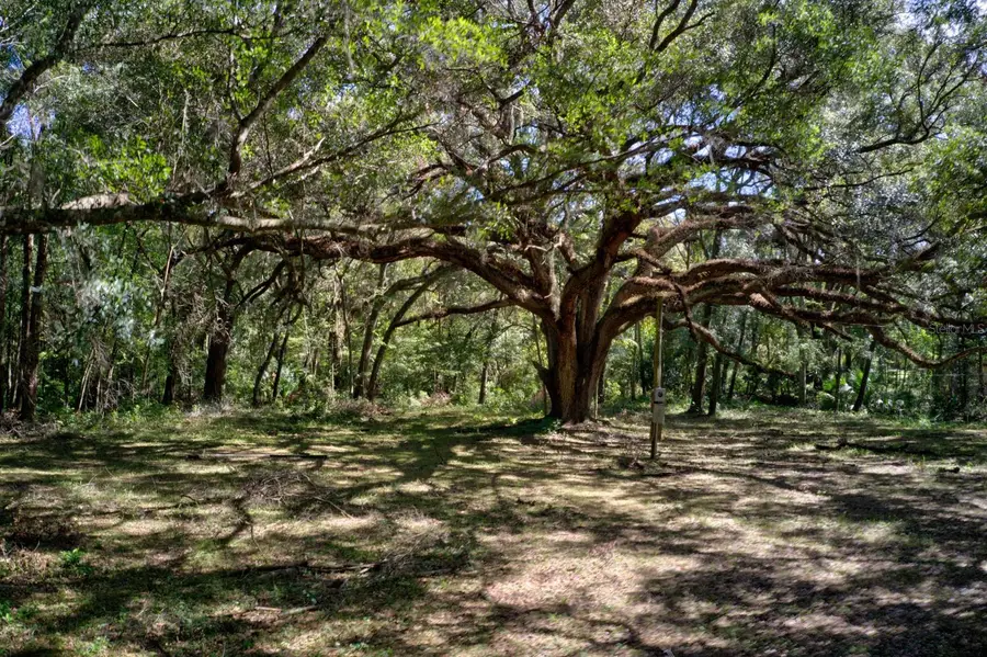 5005 SW 63rd Boulevard, Gainesville, FL 32608 - #3