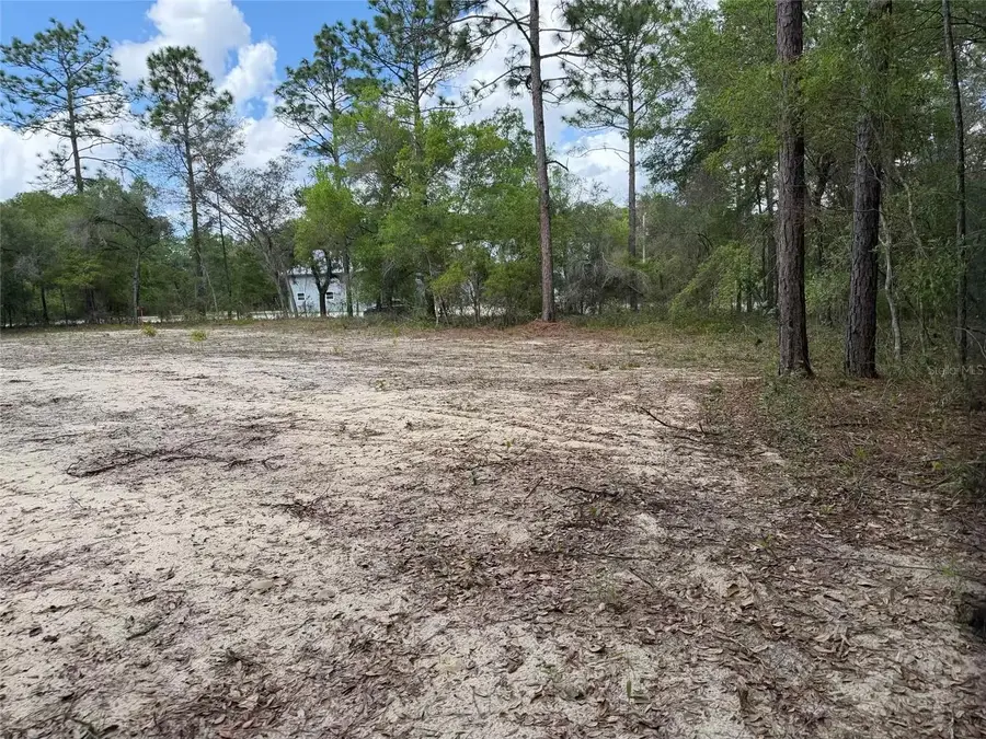 105 Race Street, Hawthorne, FL 32640 - #3