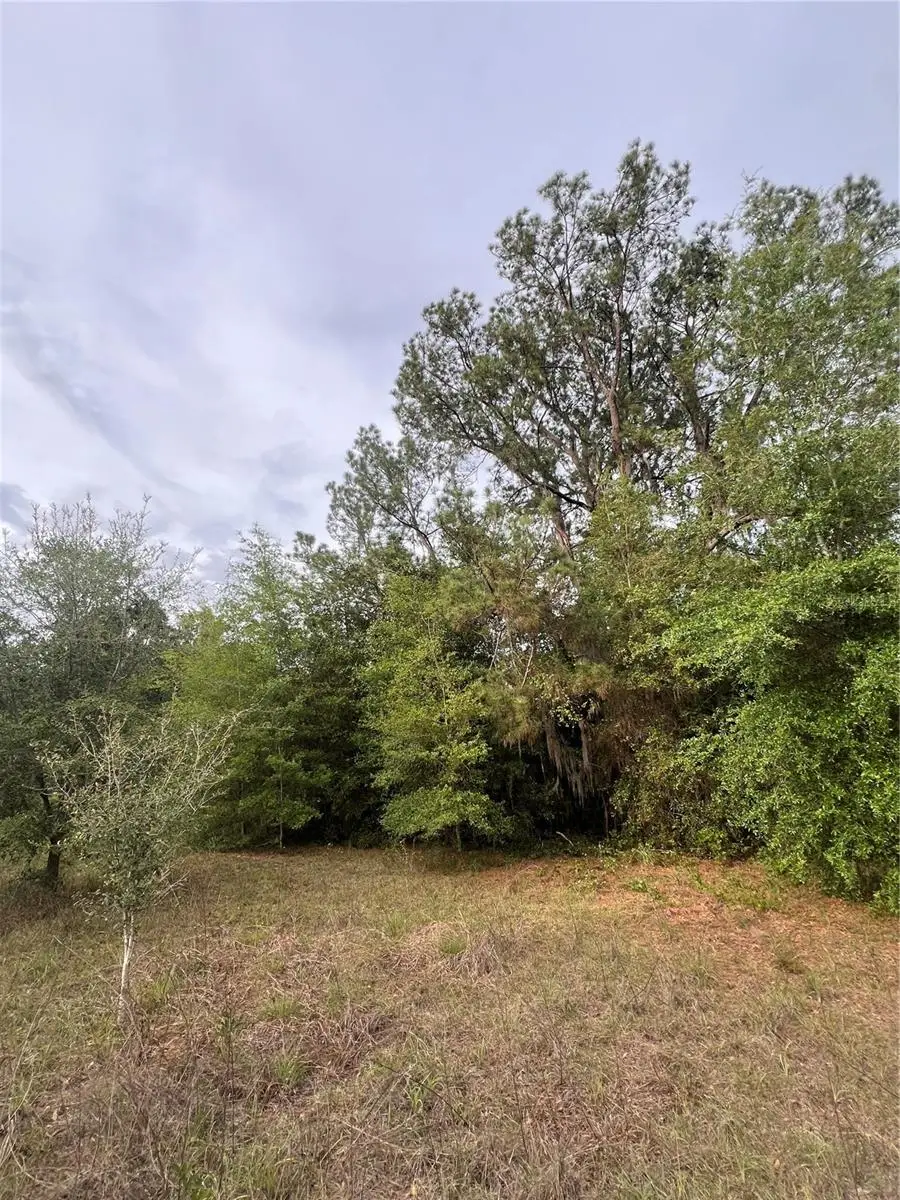 Avenue G, McIntosh, FL 32664 - #3