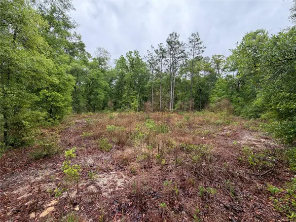 301 Rainbow Drive, HAWTHORNE, FL 32640