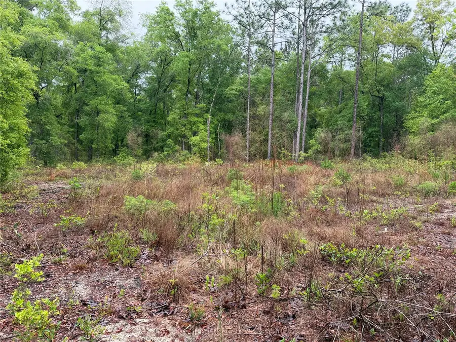 301 Rainbow Drive, Hawthorne, FL 32640 - #2