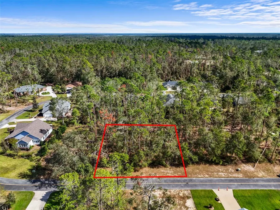 TBD Wildwood Drive, Live Oak, FL 32060 - #3