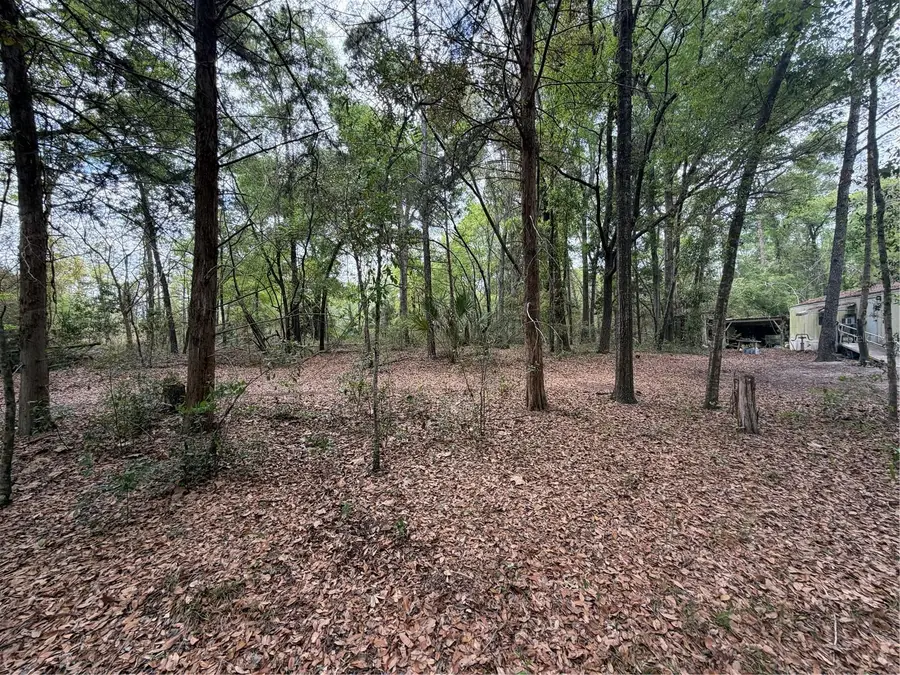 3100 NW 30th Street, Bell, FL 32619 - #3