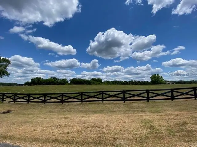 15681 NW 48th Place, Alachua, FL 32615 - #3