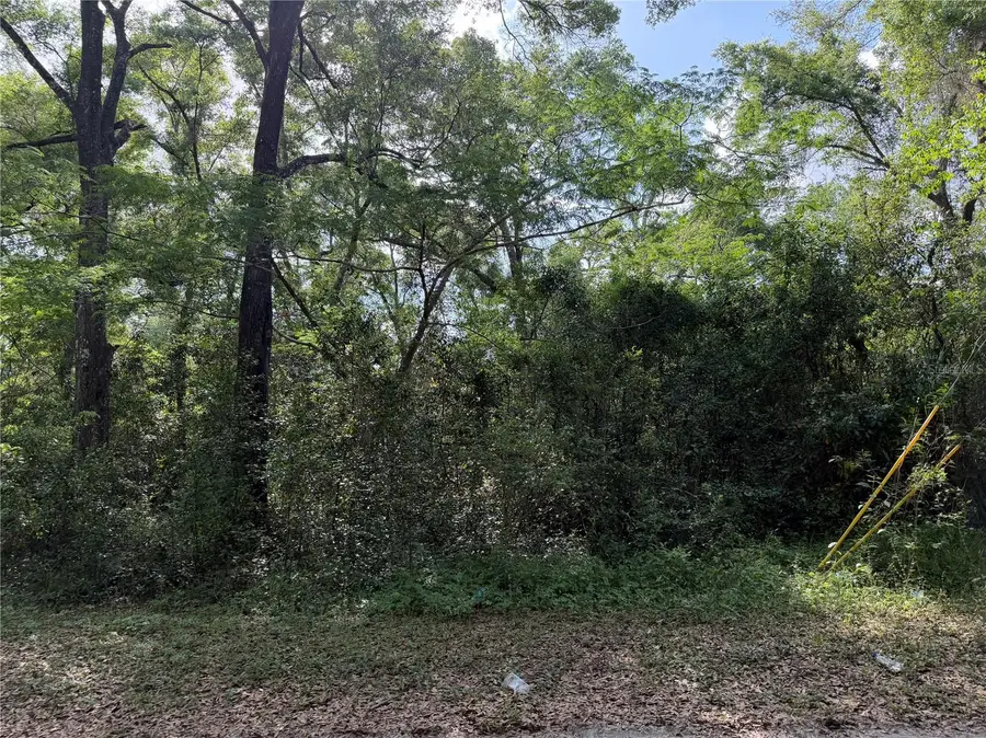 1410 NW 10th Street, Chiefland, FL 32626 - #2