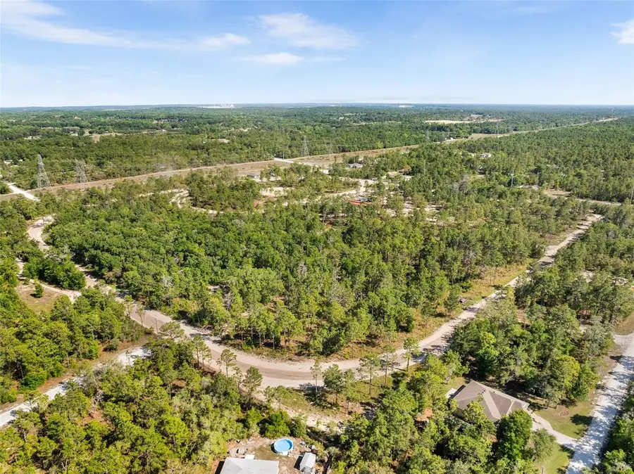 25723 Bareva Road, Weeki Wachee, FL 34614 - #2