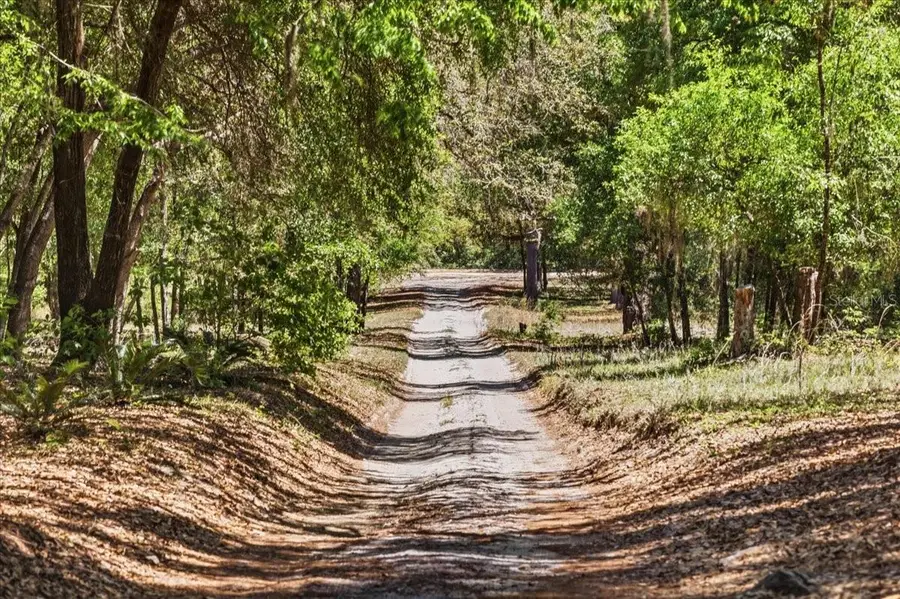 8386 Austin Road, Melrose, FL 32666 - #2