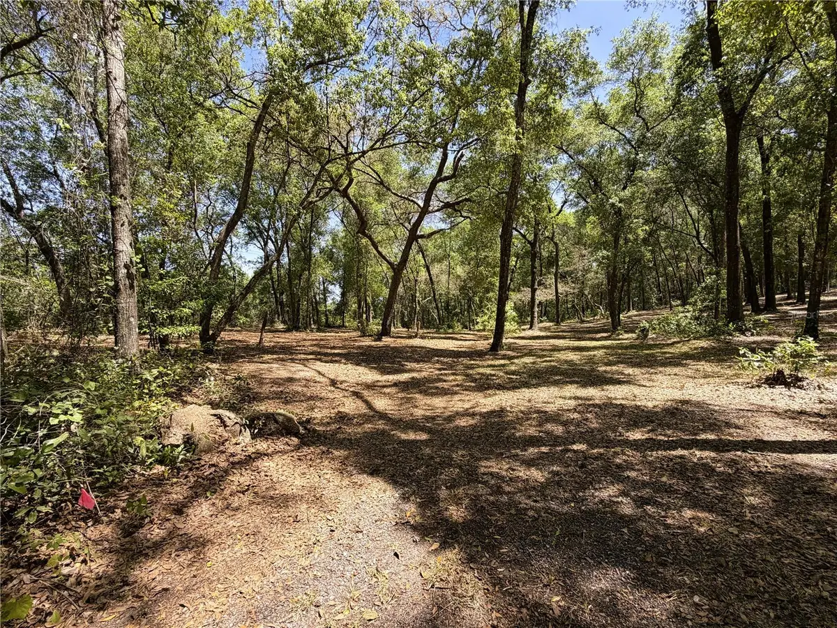 Cypress Street, Keystone Heights, FL 32656 - #1