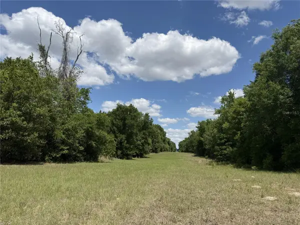 0 NW 140th Street, CHIEFLAND, FL 32626