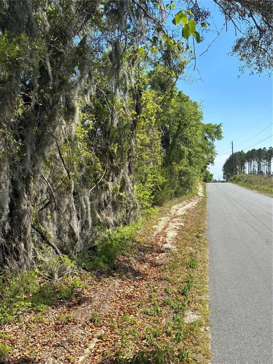 298th Street, Newberry, FL 32669 - #2