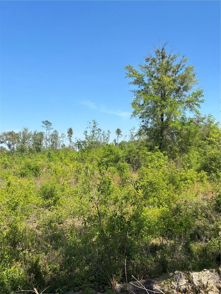 298th Street, Newberry, FL 32669 - #3