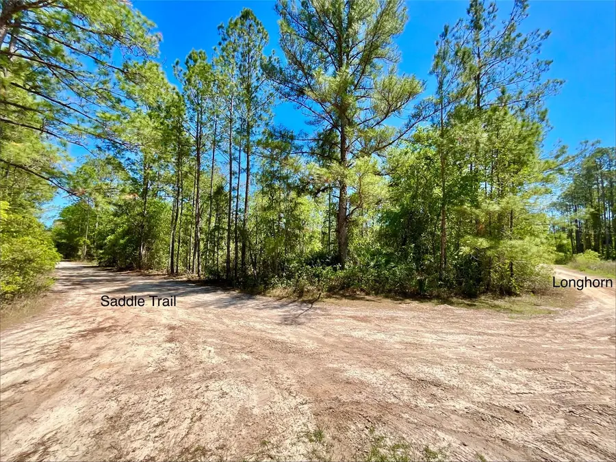 125 Saddle Trail, Interlachen, FL 32148 - #3
