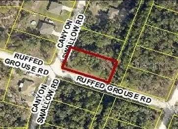 0 Canyon Swallow Rd (parcel Key 00784734), Weeki Wachee, FL 34614 - #1