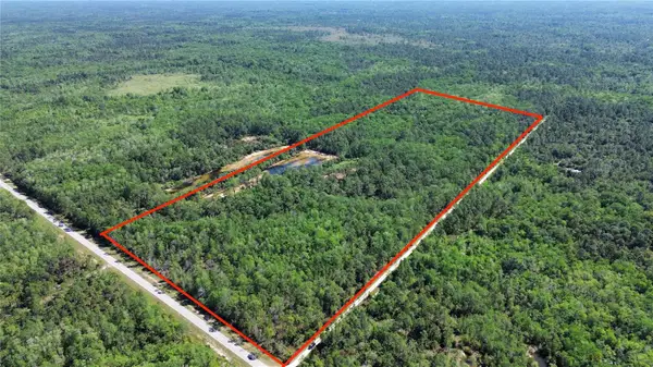 Tract 99 SW Cr-347, CHIEFLAND, FL 32644
