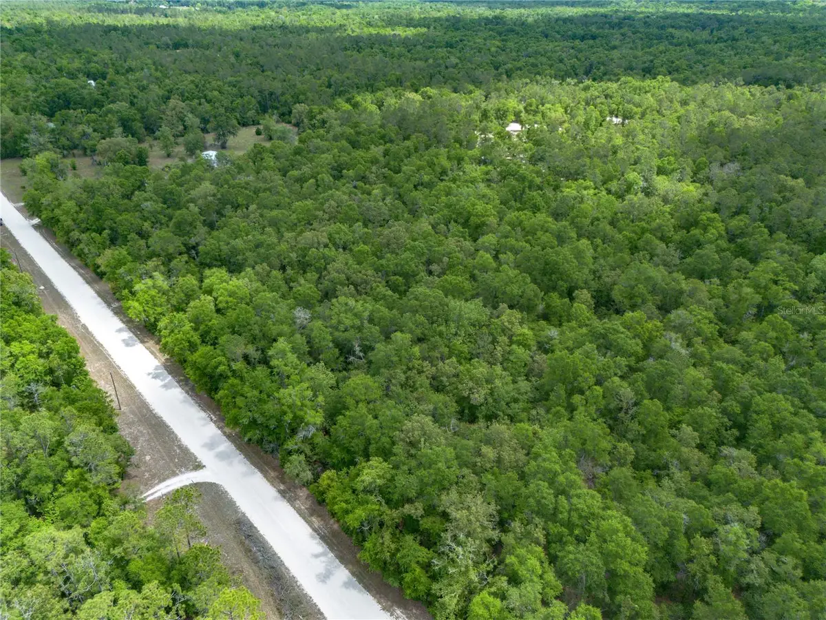 Sw Loncala Loop, Fort White, FL 32038 - #1