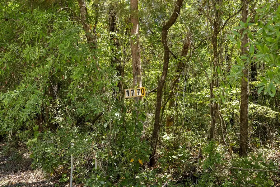 Sw Loncala Loop, Fort White, FL 32038 - #3