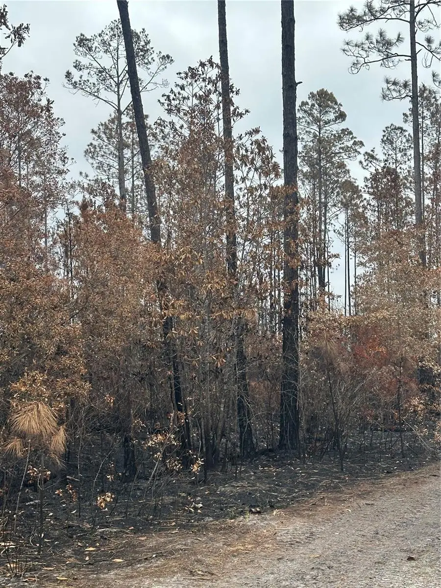 TBD NW 2nd Avenue, Palatka, FL 32177 - #2