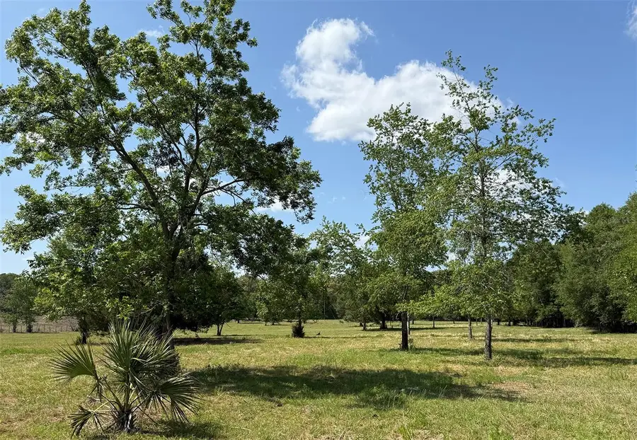 18919 NW 62nd Avenue, Alachua, FL 32615 - #3