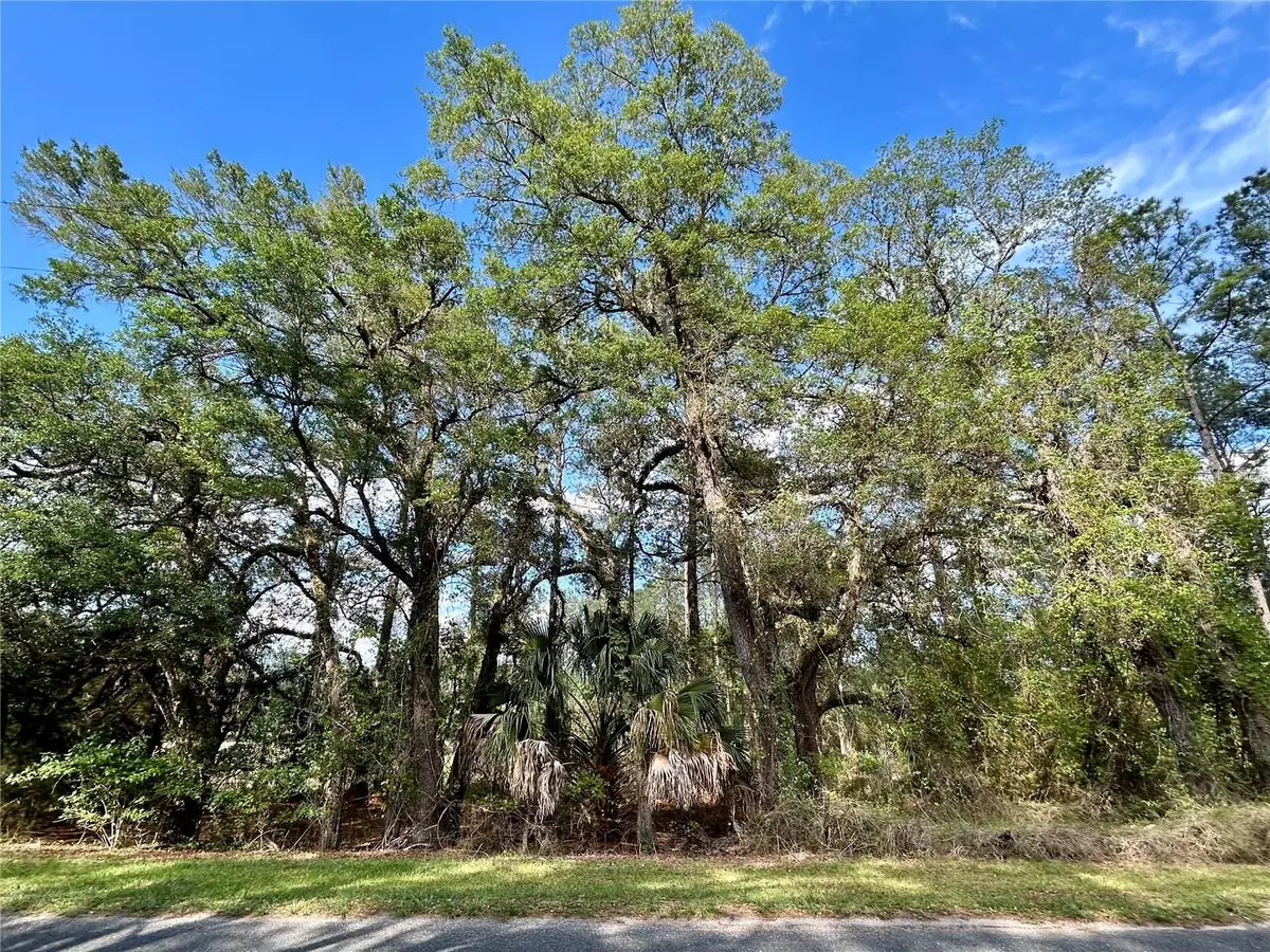 4819 NE 211th Drive, Earleton, FL 32631 - #1
