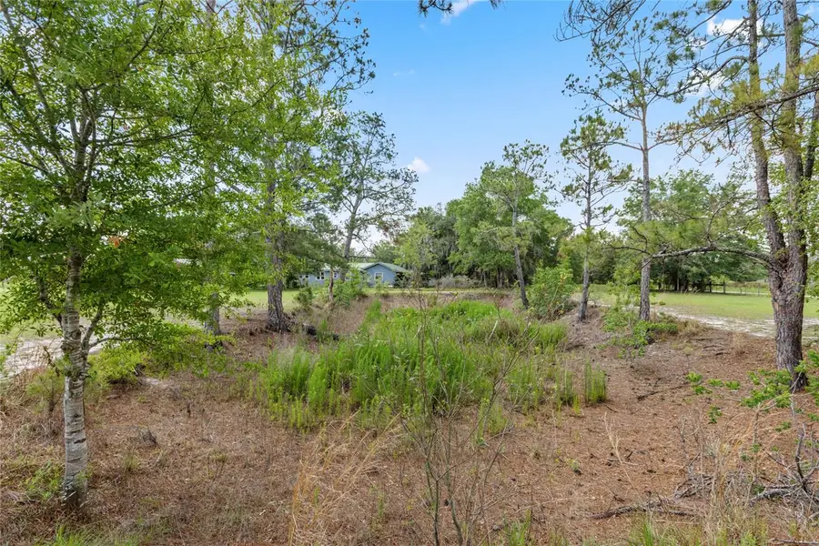11115 SW 105th Street, Brooker, FL 32622 - #2