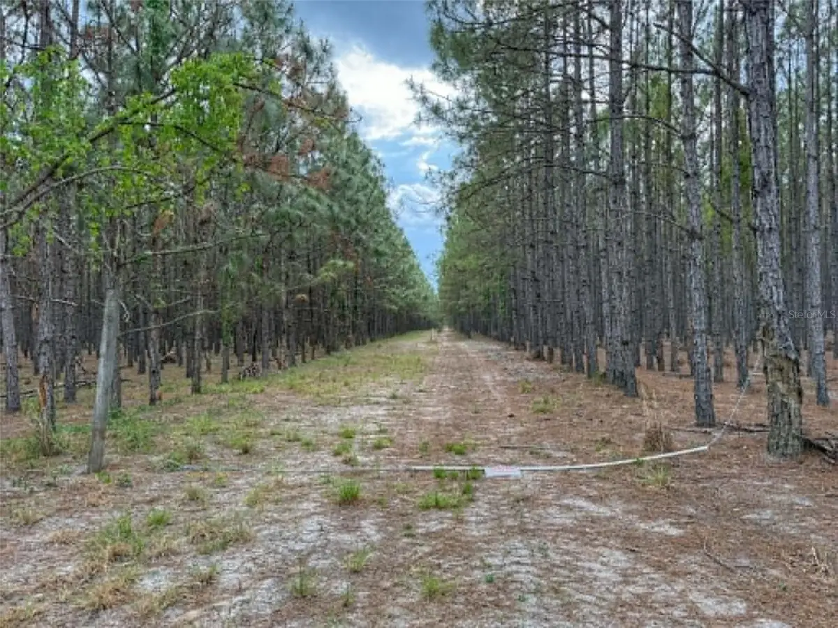 TBD SE Pearl Fletcher Road, Branford, FL 32008 - #1