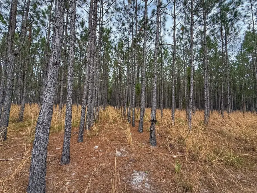TBD SE Pearl Fletcher Road, Branford, FL 32008 - #2