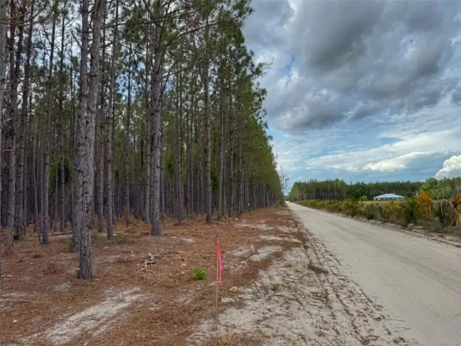 TBD SE Pearl Fletcher Road, Branford, FL 32008 - #3