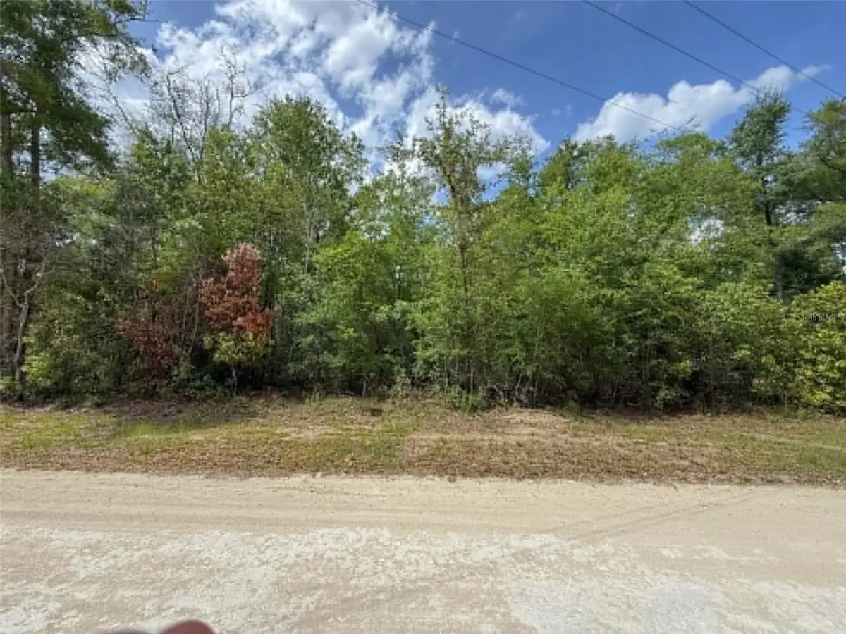 TBD 282nd Terrace, Branford, FL 32008 - #1