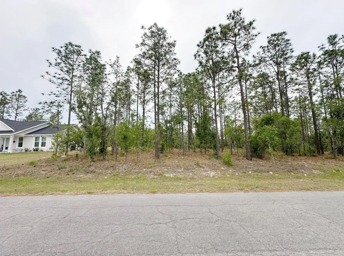 TBD NE 150th , Lot 10 Avenue, Williston, FL 32696 - #1