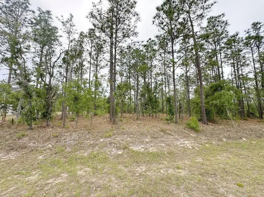 TBD NE 150th , Lot 10 Avenue, Williston, FL 32696 - #3