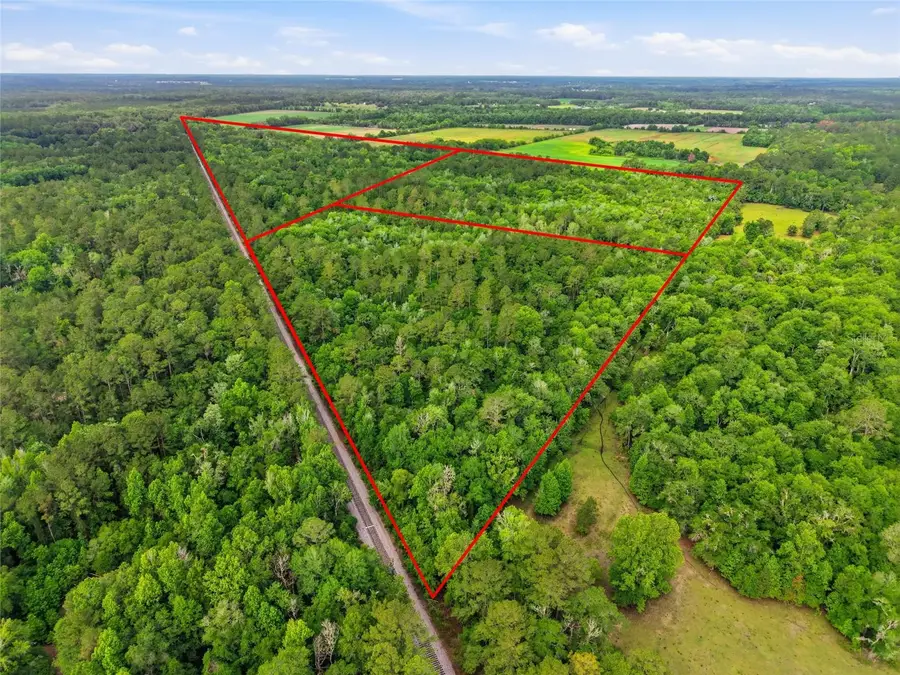 91st Street, Alachua, FL 32615 - #3