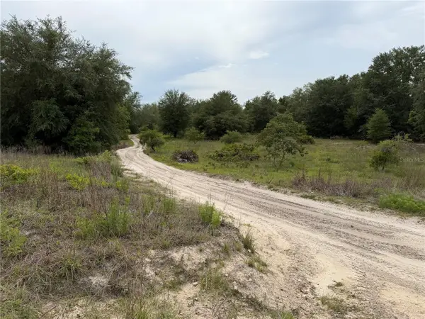 Se 53 Court, TRENTON, FL 32693