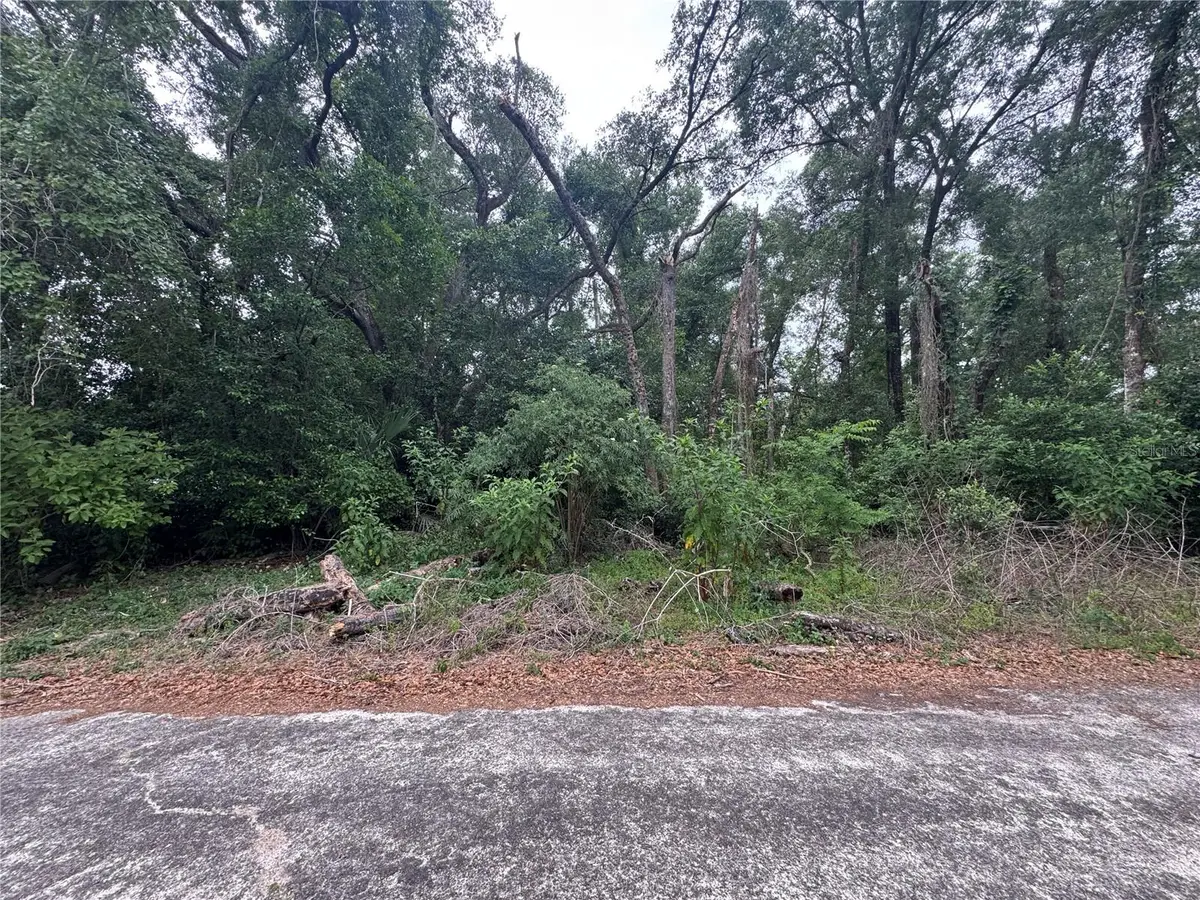 3638 E Lee Drive, Inverness, FL 34453 - #1