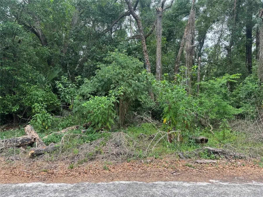 3638 E Lee Drive, Inverness, FL 34453 - #2