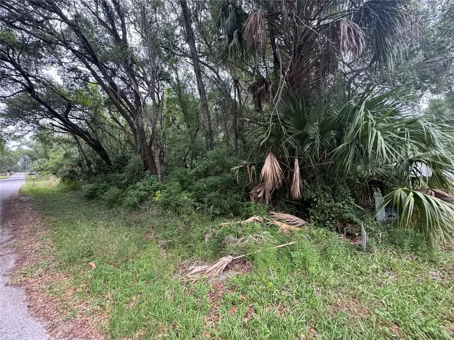 874 N Savary Avenue, Inverness, FL 34453 - #3