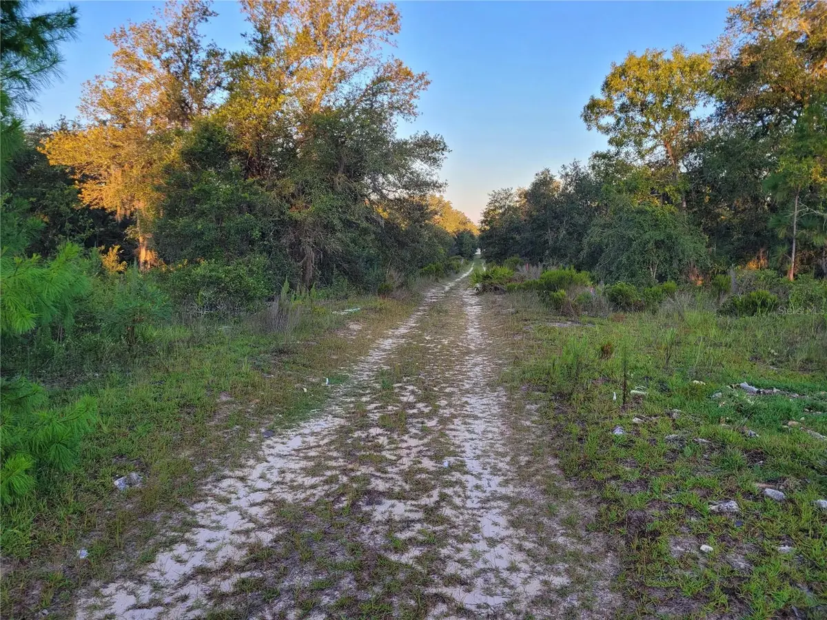 NE 61st Lane, Williston, FL 32696 - #1