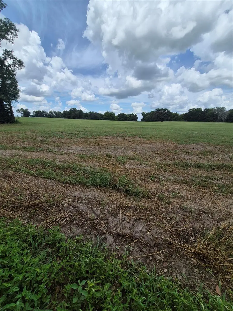 8748 NE Jacksonville Road, Anthony, FL 32617 - #3