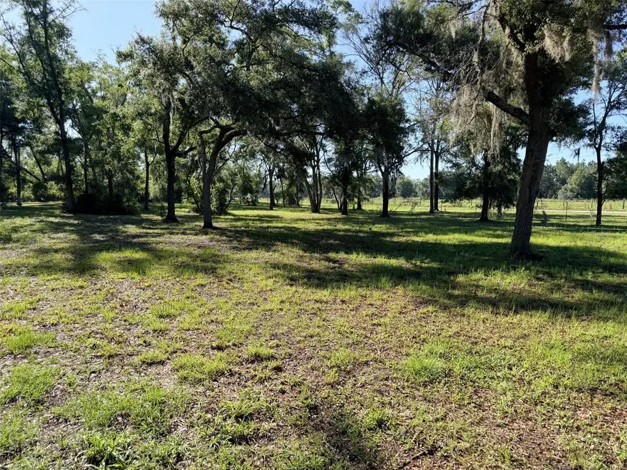 794 NE 521 Street, Old Town, FL 32680 - #2