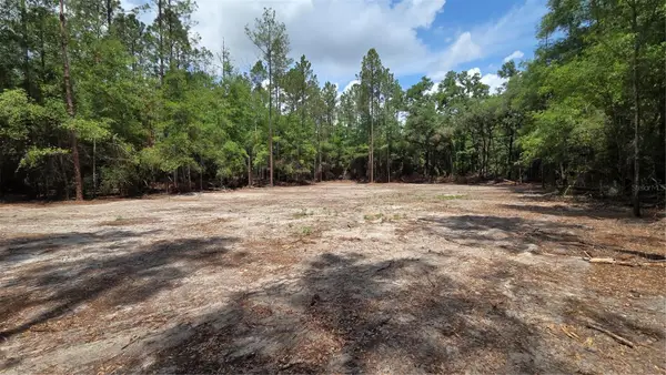 Sw 61st Place, NEWBERRY, FL 32669