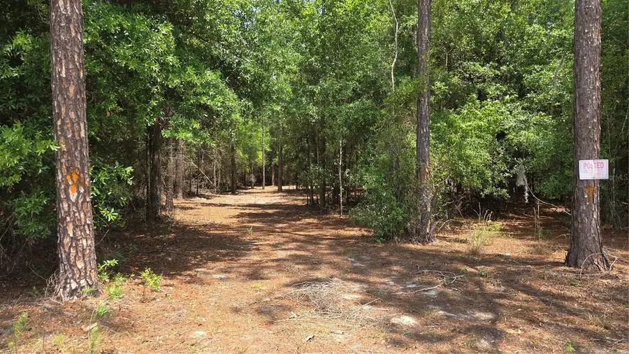 Sw 61st Place, Newberry, FL 32669 - #3
