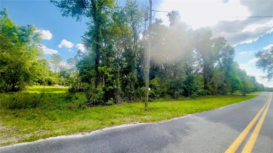 Lot 1 NE 66th Ln, Bronson, FL 32621 - #2