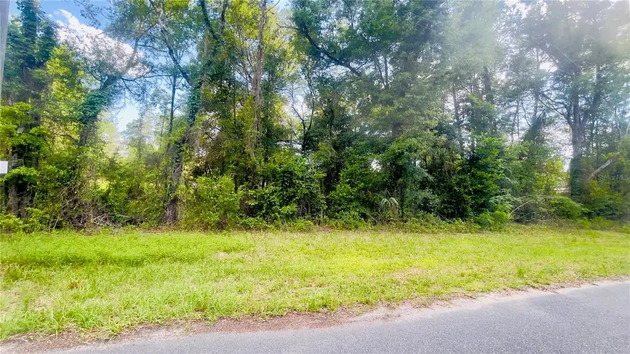 Lot 1 NE 66th Ln, Bronson, FL 32621 - #3