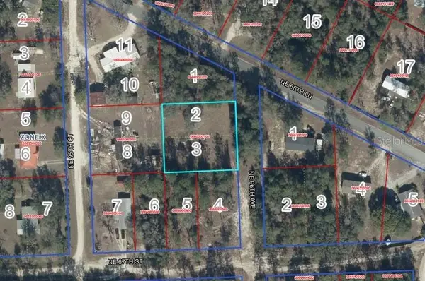 Lot 2&3 NE 95th Ave, BRONSON, FL 32621